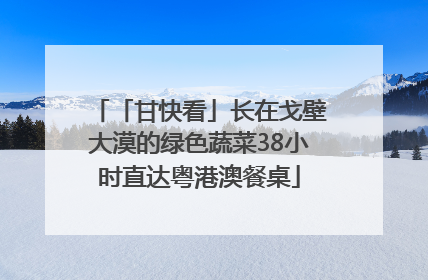 「甘快看」长在戈壁大漠的绿色蔬菜38小时直达粤港澳餐桌