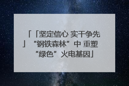 「坚定信心 实干争先」“钢铁森林”中 重塑“绿色”火电基因