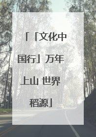 「文化中国行」万年上山 世界稻源
