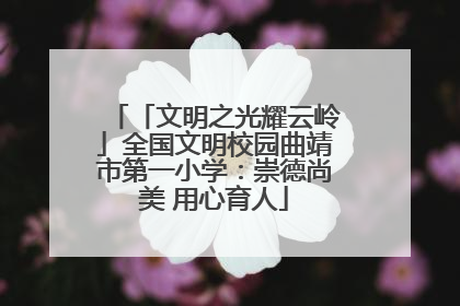 「文明之光耀云岭」全国文明校园曲靖市第一小学：崇德尚美 用心育人