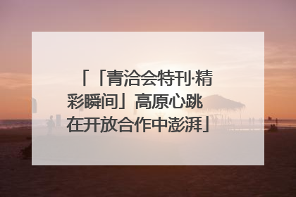 「青洽会特刊·精彩瞬间」高原心跳 在开放合作中澎湃