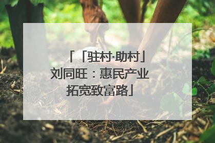 「驻村·助村」刘同旺：惠民产业拓宽致富路