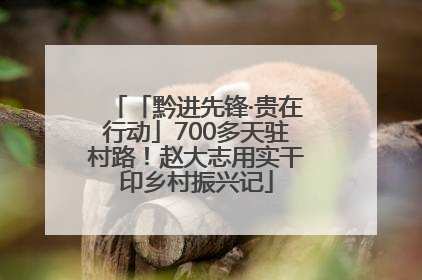 「黔进先锋·贵在行动」700多天驻村路！赵大志用实干印乡村振兴记