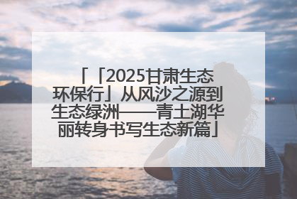 「2025甘肃生态环保行」从风沙之源到生态绿洲——青土湖华丽转身书写生态新篇