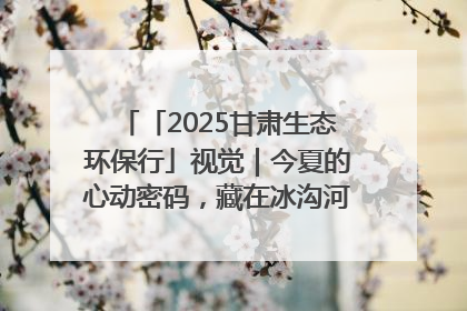 「2025甘肃生态环保行」视觉｜今夏的心动密码，藏在冰沟河的潋滟波光里