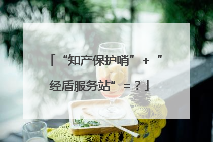 “知产保护哨”+“经盾服务站”=？