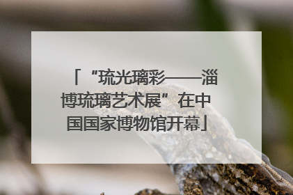 “琉光璃彩——淄博琉璃艺术展”在中国国家博物馆开幕
