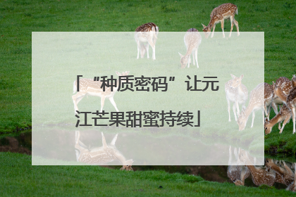 “种质密码”让元江芒果甜蜜持续