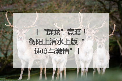 “群龙”竞渡！衡阳上演水上版“速度与激情”