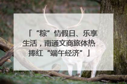 “粽”情假日、乐享生活，南通文商旅体热捧红“端午经济”