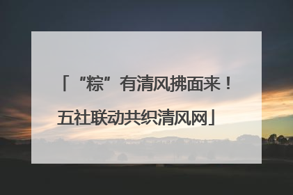 “粽”有清风拂面来！五社联动共织清风网