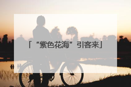 “紫色花海”引客来