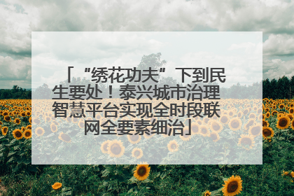 “绣花功夫”下到民生要处！泰兴城市治理智慧平台实现全时段联网全要素细治
