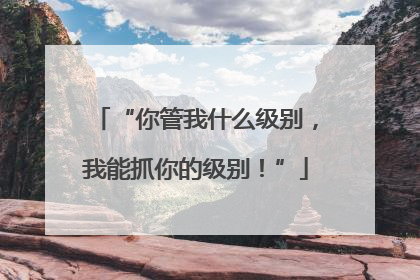 “你管我什么级别，我能抓你的级别！”