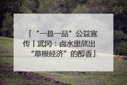 “一县一品”公益宣传丨武冈：卤水里熬出“草根经济”的醇香
