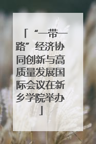 “一带一路”经济协同创新与高质量发展国际会议在新乡学院举办