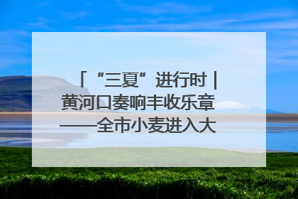 “三夏”进行时｜黄河口奏响丰收乐章——全市小麦进入大面积收获高峰期