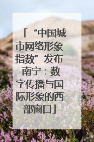 “中国城市网络形象指数”发布 南宁：数字传播与国际形象的西部窗口