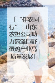“伴农同行”｜山东农担公司助力菏泽巨野蛋鸡产业高质量发展