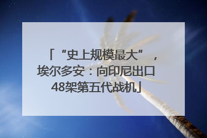 “史上规模最大”，埃尔多安：向印尼出口48架第五代战机