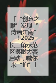 “创意之眼”发现“诗画江南”！2025长三角示范区摄影大赛启动，喊你来“拍”