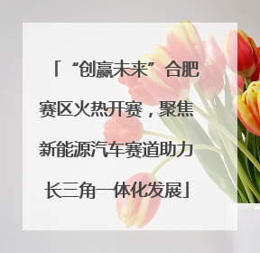 “创赢未来”合肥赛区火热开赛，聚焦新能源汽车赛道助力长三角一体化发展