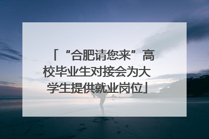 “合肥请您来”高校毕业生对接会为大学生提供就业岗位