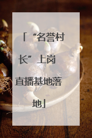 “名誉村长”上岗 直播基地落地
