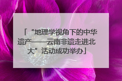 “地理学视角下的中华遗产——云南非遗走进北大”活动成功举办