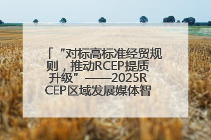 “对标高标准经贸规则，推动RCEP提质升级”——2025RCEP区域发展媒体智库论坛举行专题对话