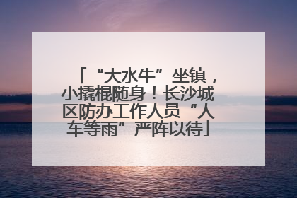 “大水牛”坐镇，小撬棍随身！长沙城区防办工作人员“人车等雨”严阵以待