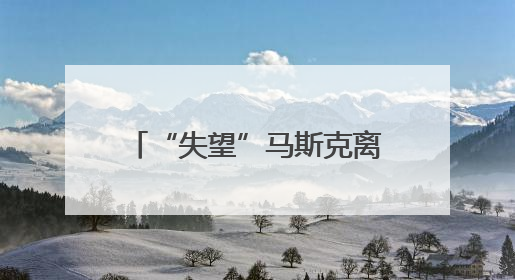 “失望”马斯克离开特朗普政府 媒体称当天两人未交谈