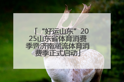 “好运山东”2025山东省体育消费季暨济南潮流体育消费季正式启动