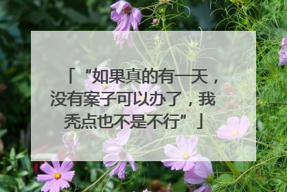 “如果真的有一天，没有案子可以办了，我秃点也不是不行”