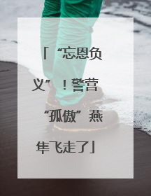 “忘恩负义”！警营“孤傲”燕隼飞走了