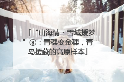 “山海情・雪域援梦”⑧：青稞变金稞，青岛援藏的高原样本