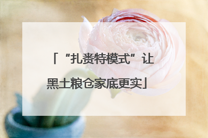 “扎赉特模式”让黑土粮仓家底更实