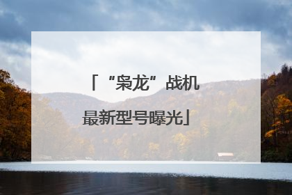“枭龙”战机最新型号曝光