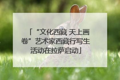 “文化西藏 天上画卷”艺术家西藏行写生活动在拉萨启动