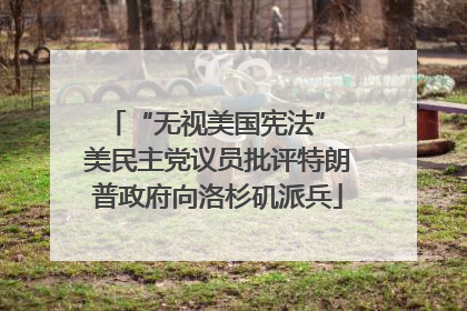 “无视美国宪法” 美民主党议员批评特朗普政府向洛杉矶派兵