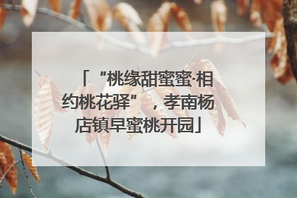 “桃缘甜蜜蜜·相约桃花驿”，孝南杨店镇早蜜桃开园