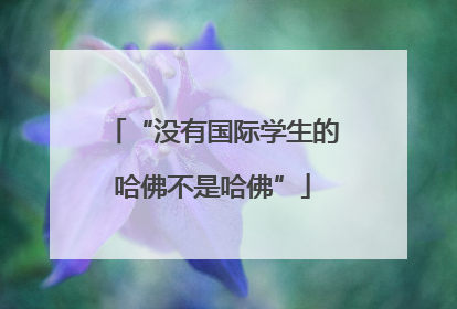“没有国际学生的哈佛不是哈佛”