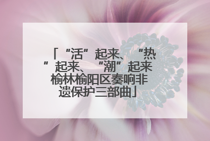 “活”起来、“热”起来、“潮”起来 榆林榆阳区奏响非遗保护三部曲