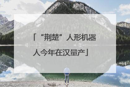 “荆楚”人形机器人今年在汉量产