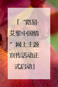 “路易·艾黎中国情”网上主题宣传活动正式启动