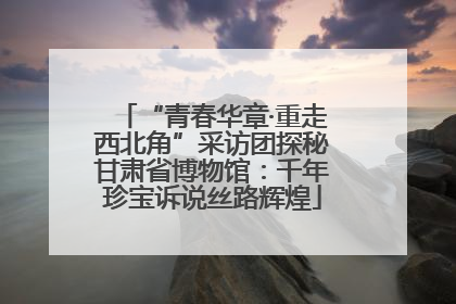 “青春华章·重走西北角”采访团探秘甘肃省博物馆：千年珍宝诉说丝路辉煌