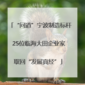 “问道”宁波制造标杆 25位临海大田企业家取回“发展真经”