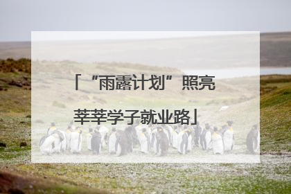 “雨露计划”照亮莘莘学子就业路