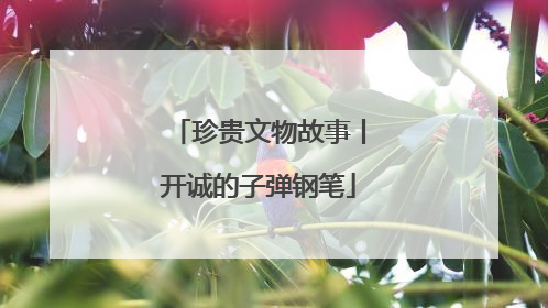 珍贵文物故事丨开诚的子弹钢笔