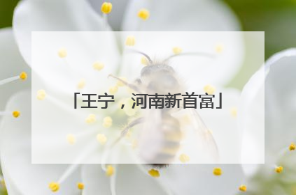 王宁，河南新首富